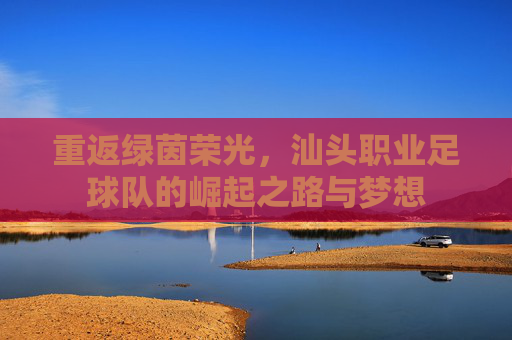 重返绿茵荣光,汕头职业足球队的崛起之路与梦想