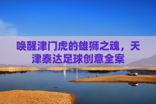 唤醒津门虎的雄狮之魂,天津泰达足球创意全案