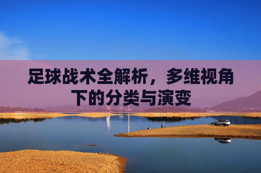 足球战术全解析，多维视角下的分类与演变