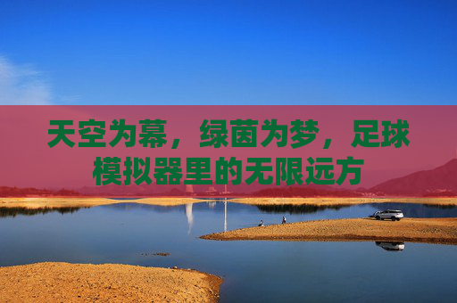 天空为幕，绿茵为梦，足球模拟器里的无限远方
