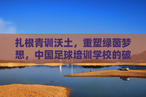 扎根青训沃土，重塑绿茵梦想，中国足球培训学校的破局之路