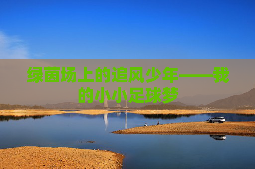 绿茵场上的追风少年——我的小小足球梦