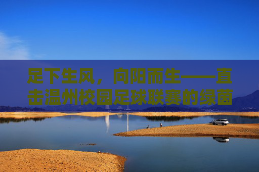 足下生风，向阳而生——直击温州校园足球联赛的绿茵热血