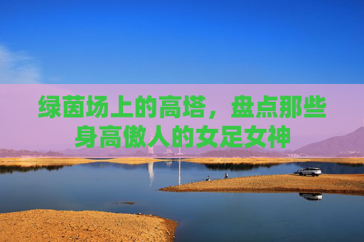 绿茵场上的高塔，盘点那些身高傲人的女足女神