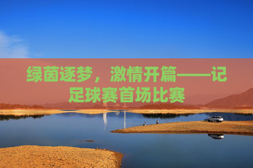 绿茵逐梦，激情开篇——记足球赛首场比赛