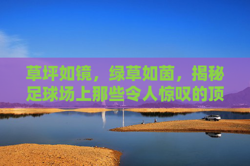 草坪如镜，绿草如茵，揭秘足球场上那些令人惊叹的顶级草坪国家