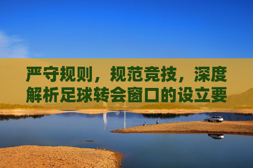 严守规则，规范竞技，深度解析足球转会窗口的设立要求与核心机制