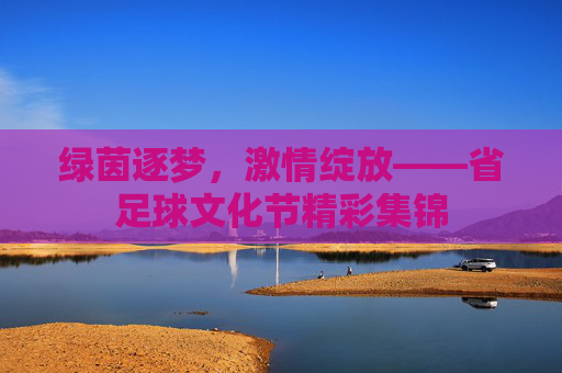 绿茵逐梦，激情绽放——省足球文化节精彩集锦