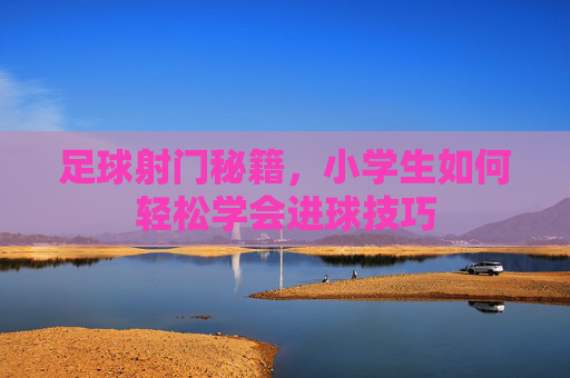 足球射门秘籍,小学生如何轻松学会进球技巧