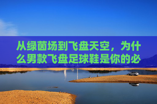 从绿茵场到飞盘天空，为什么男款飞盘足球鞋是你的必备装备？
