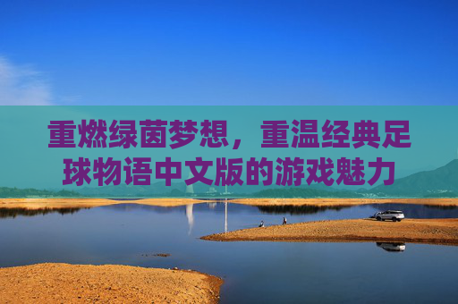 重燃绿茵梦想，重温经典足球物语中文版的游戏魅力