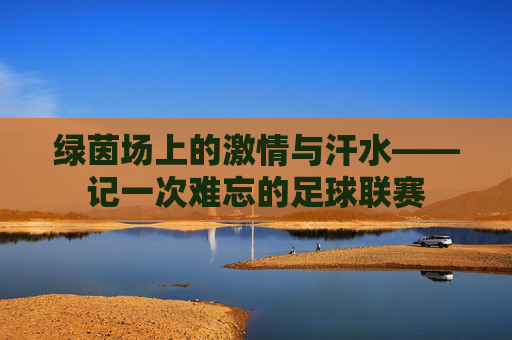 绿茵场上的激情与汗水——记一次难忘的足球联赛