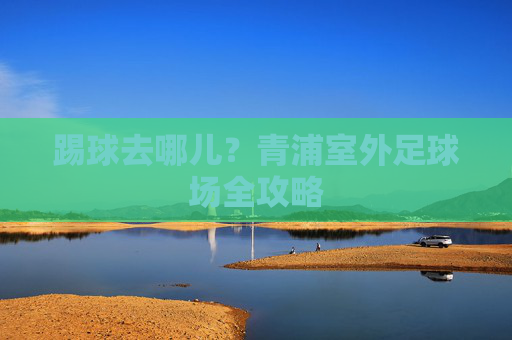 踢球去哪儿？青浦室外足球场全攻略