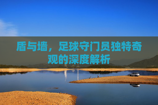 盾与墙，足球守门员独特奇观的深度解析