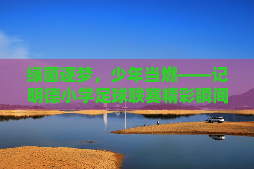 绿茵逐梦，少年当燃——记明德小学足球联赛精彩瞬间