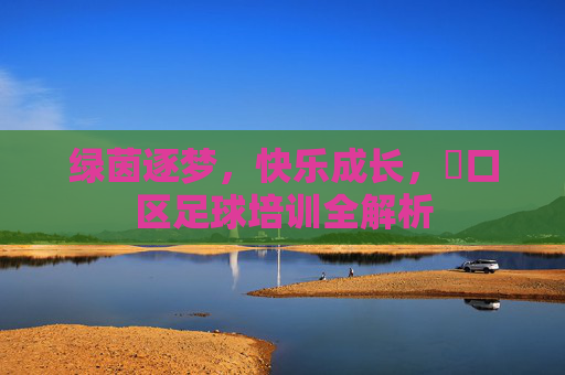 绿茵逐梦,快乐成长,硚口区足球培训全解析
