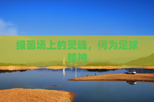 绿茵场上的灵魂，何为足球精神