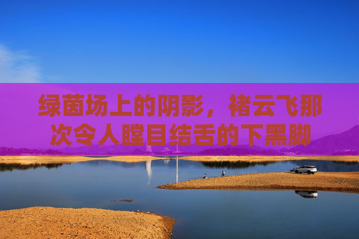 绿茵场上的阴影,褚云飞那次令人瞠目结舌的下黑脚