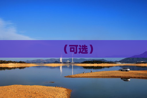 (可选)