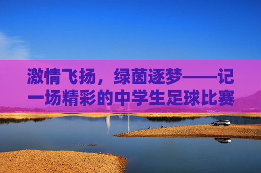 激情飞扬,绿茵逐梦——记一场精彩的中学生足球比赛活动