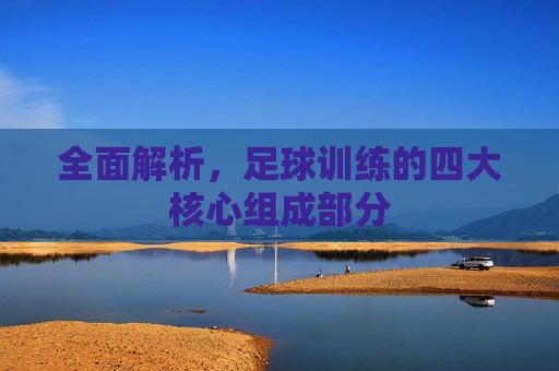 全面解析,足球训练的四大核心组成部分