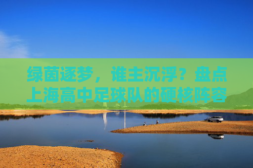 绿茵逐梦，谁主沉浮？盘点上海高中足球队的硬核阵容