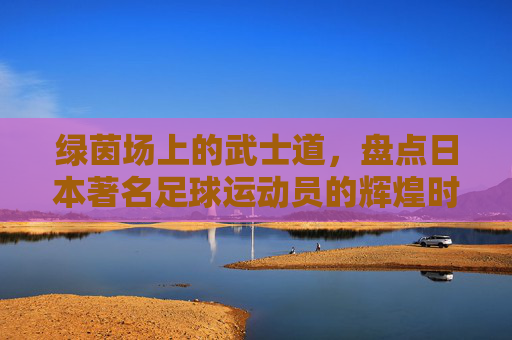 绿茵场上的武士道,盘点日本著名足球运动员的辉煌时刻