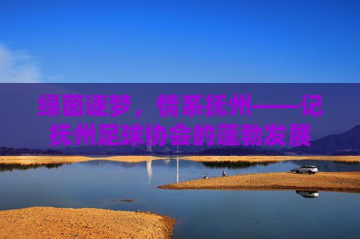 绿茵逐梦,情系抚州——记抚州足球协会的蓬勃发展