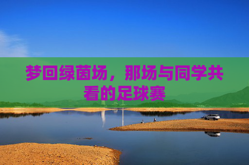 梦回绿茵场,那场与同学共看的足球赛