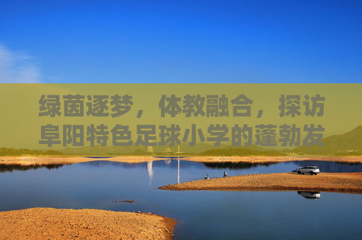 绿茵逐梦，体教融合，探访阜阳特色足球小学的蓬勃发展