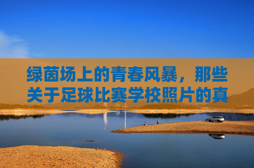 绿茵场上的青春风暴,那些关于足球比赛学校照片的真实瞬间