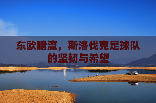 东欧暗流，斯洛伐克足球队的坚韧与希望