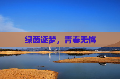 绿茵逐梦,青春无悔