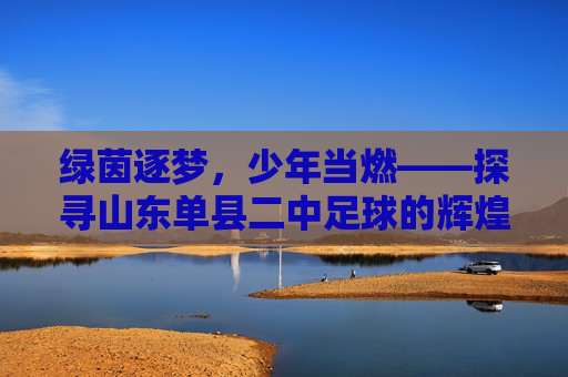 绿茵逐梦，少年当燃——探寻山东单县二中足球的辉煌之路