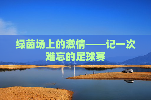绿茵场上的激情——记一次难忘的足球赛