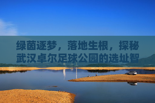 绿茵逐梦，落地生根，探秘武汉卓尔足球公园的选址智慧
