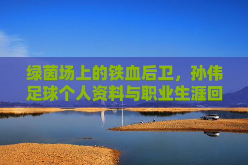 绿茵场上的铁血后卫，孙伟足球个人资料与职业生涯回顾
