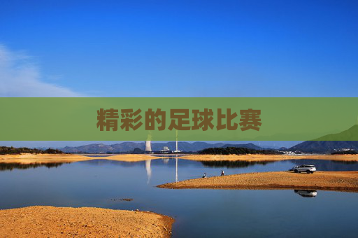 精彩的足球比赛
