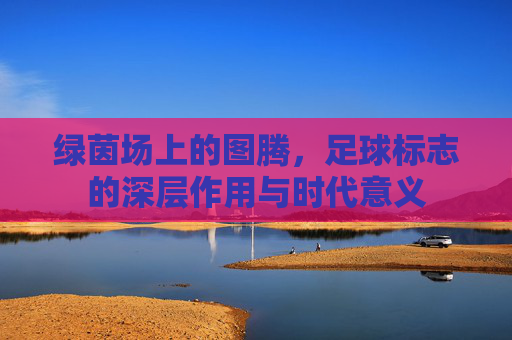 绿茵场上的图腾,足球标志的深层作用与时代意义