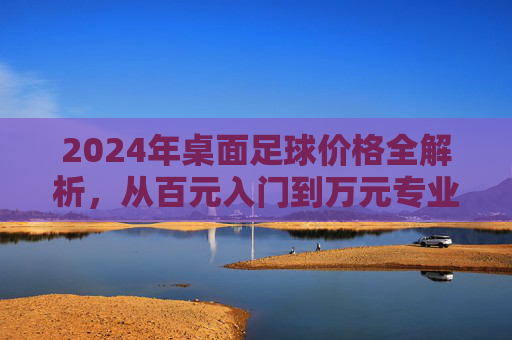 2024年桌面足球价格全解析，从百元入门到万元专业，到底多少钱？