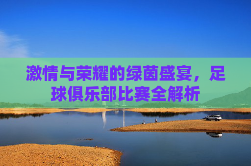 激情与荣耀的绿茵盛宴,足球俱乐部比赛全解析