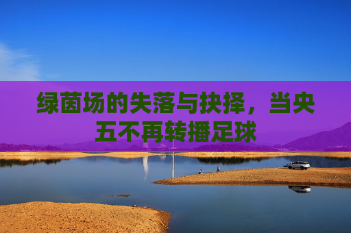 绿茵场的失落与抉择,当央五不再转播足球
