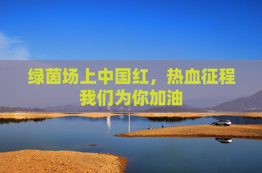 绿茵场上中国红，热血征程我们为你加油
