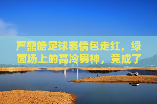 严鼎皓足球表情包走红,绿茵场上的高冷男神,竟成了互联网顶流?