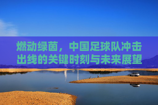燃动绿茵，中国足球队冲击出线的关键时刻与未来展望