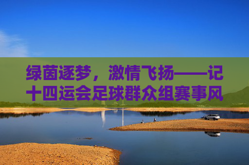 绿茵逐梦,激情飞扬——记十四运会足球群众组赛事风采