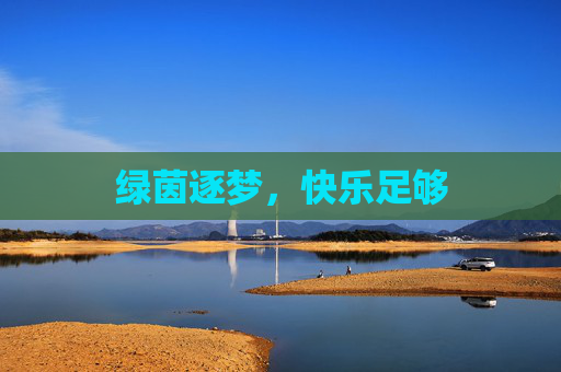 绿茵逐梦，快乐足够