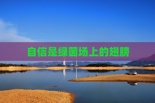 自信是绿茵场上的翅膀