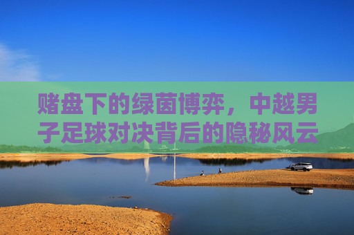 赌盘下的绿茵博弈,中越男子足球对决背后的隐秘风云
