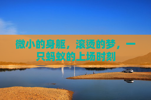 微小的身躯，滚烫的梦，一只蚂蚁的上场时刻